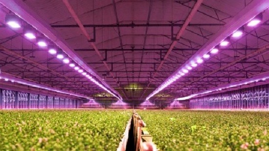 Comment l'industrie agricole bénéficie-t-elle des lampes de culture à LED ?